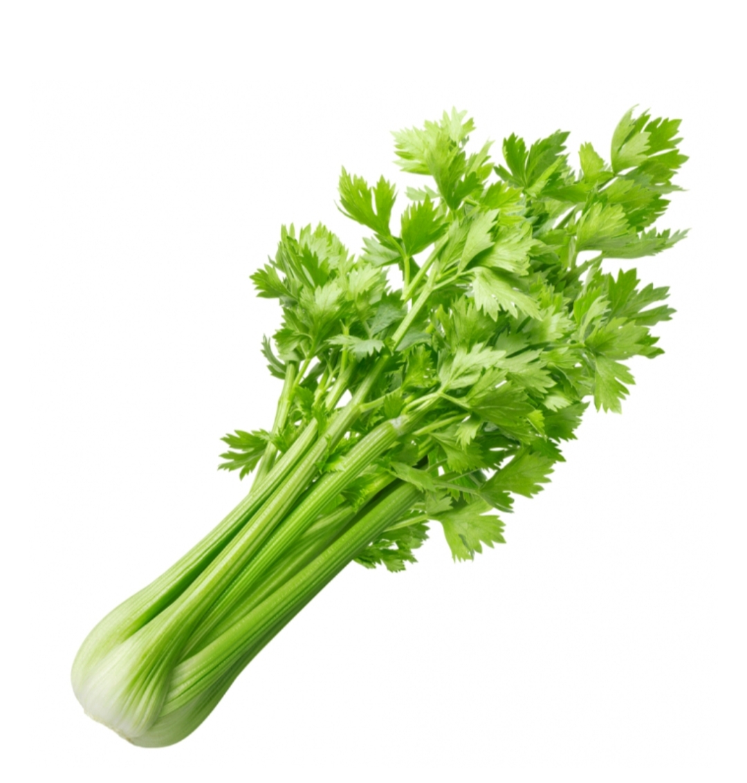 Céleri branche vert, petits, 1 + 1