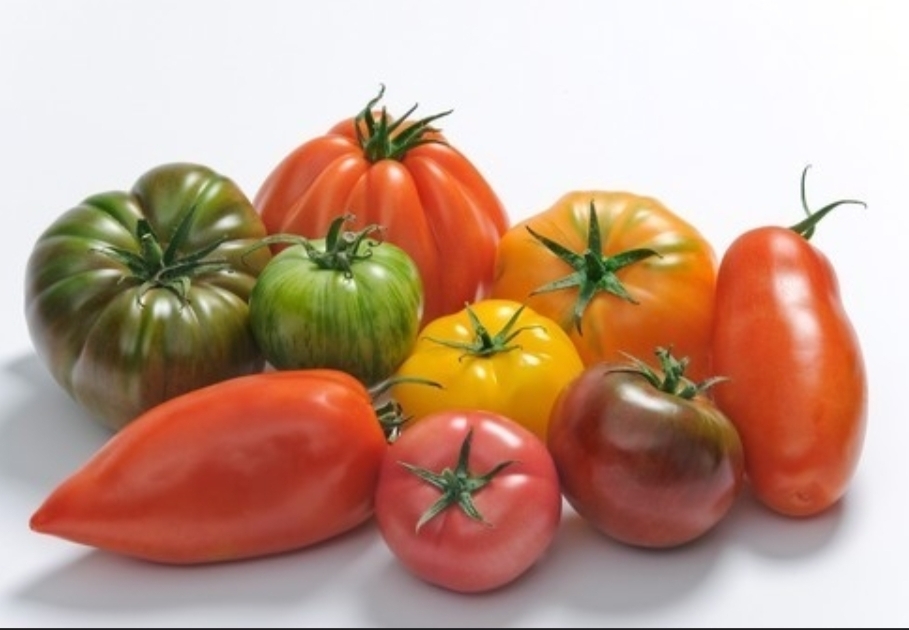 Tomates variétés anciennes (Un mélange)
