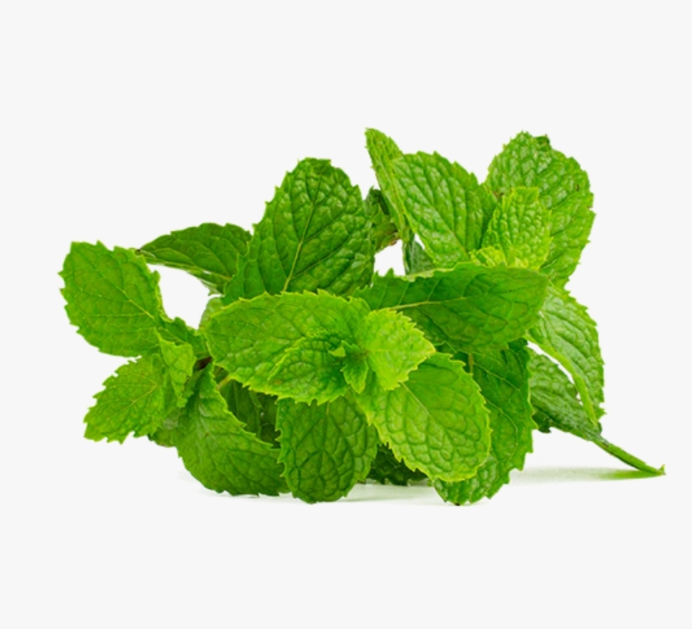 Menthe