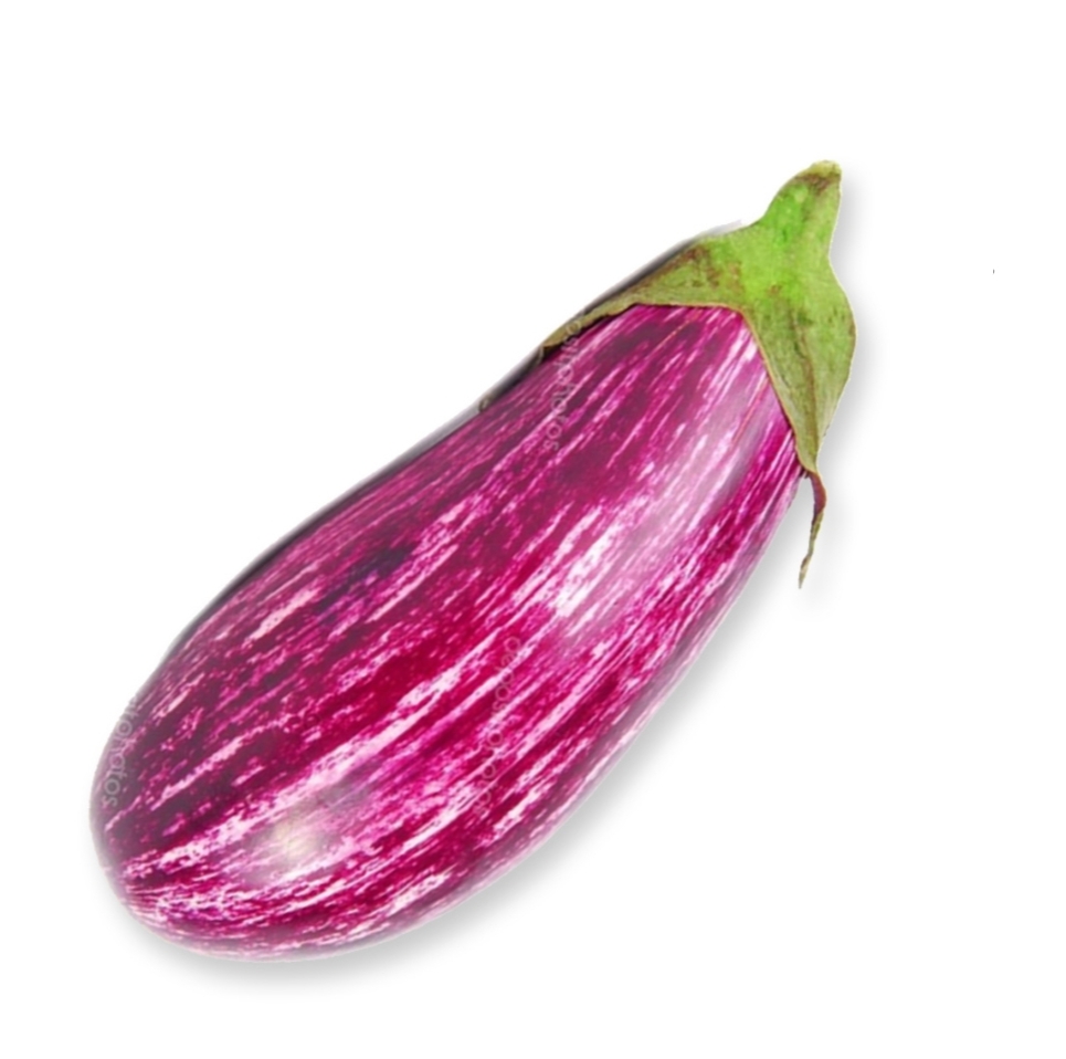 Aubergines striées