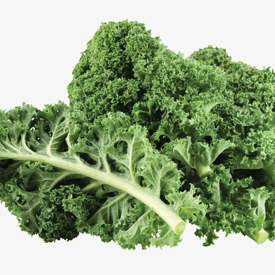 Kale violet (±350g)