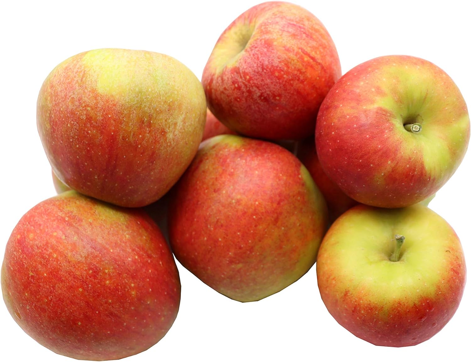 Pommes Jonagold