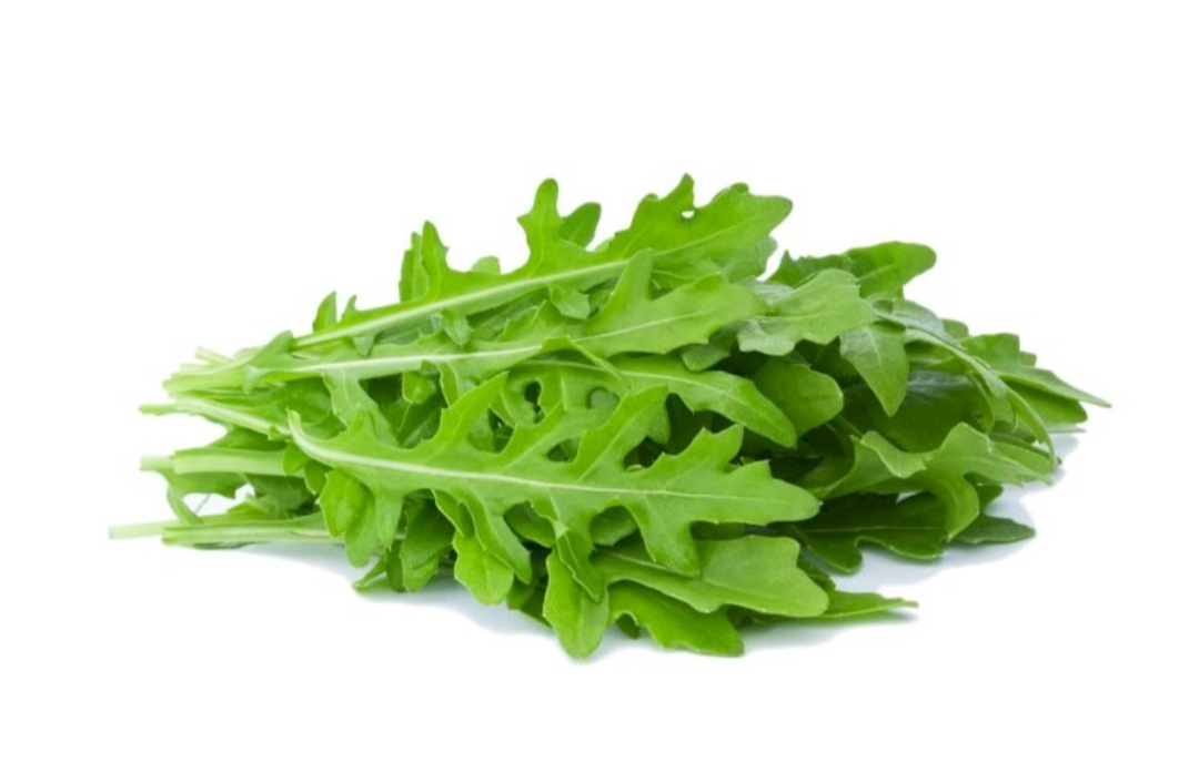 Roquette (100g)