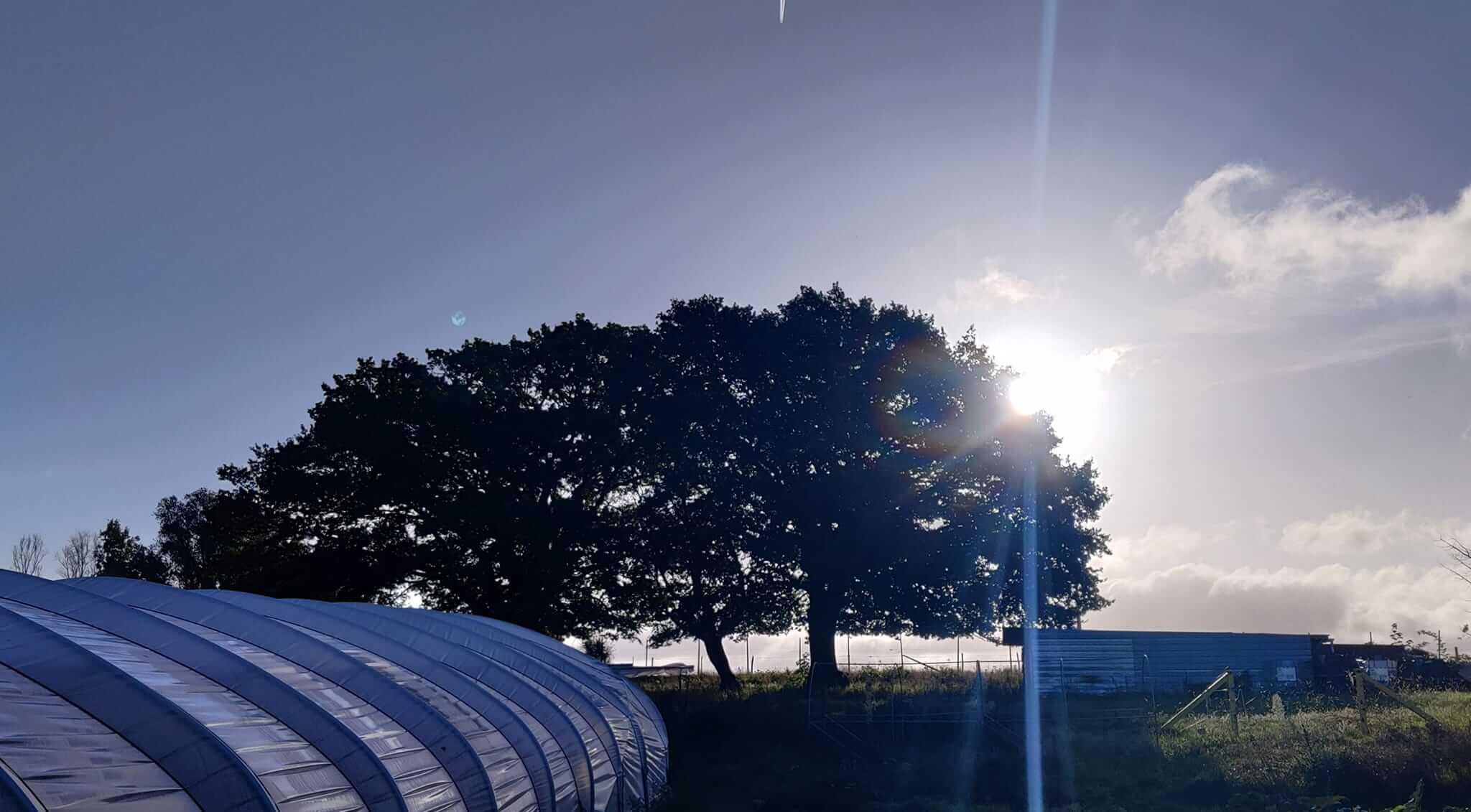 Le soleil se couche sur la microferme